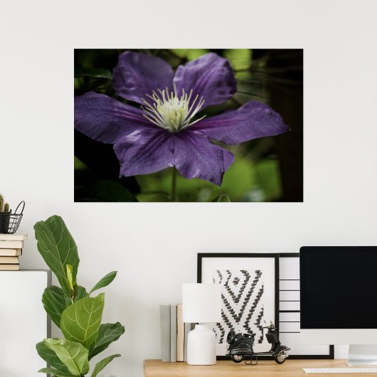 Poster Clematis 8510 (Bureau à domicile)