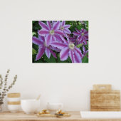 POSTER - Clematis-bloemen in het voorjaar in het V (Keuken)