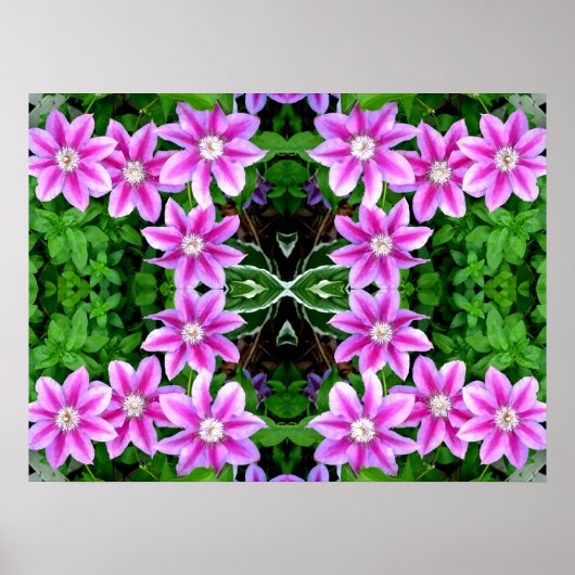 Poster Clematis et Oregano, fleurs roses vert botanique (Devant)