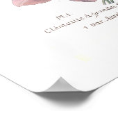 Poster Clematis patens (Coin)