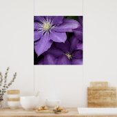 Poster Clematis pourpre (Cuisine)