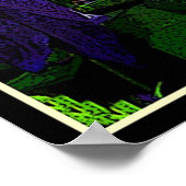 Poster Clematis pourpre (Coin)