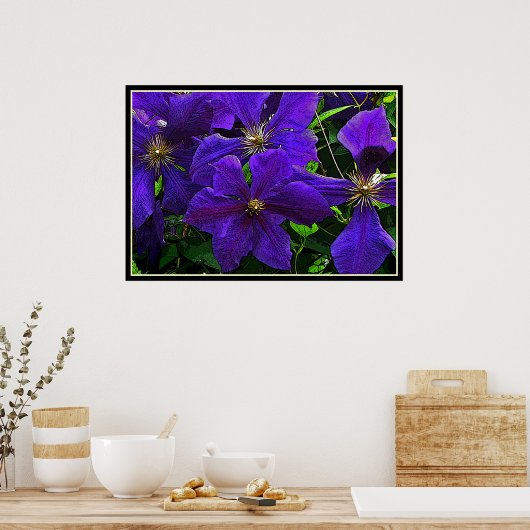 Poster Clematis pourpre (Cuisine)