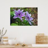 Poster Clematis Spring (Cuisine)