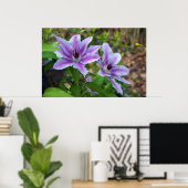 Poster Clematis Spring (Bureau à domicile)
