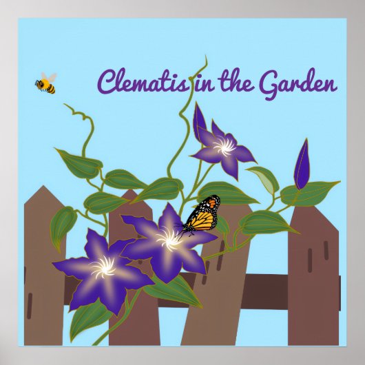 Poster Clématite dans le jardin (Devant)