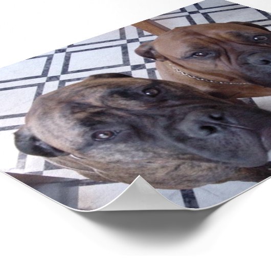 Poster Cleo et Luna (Coin)