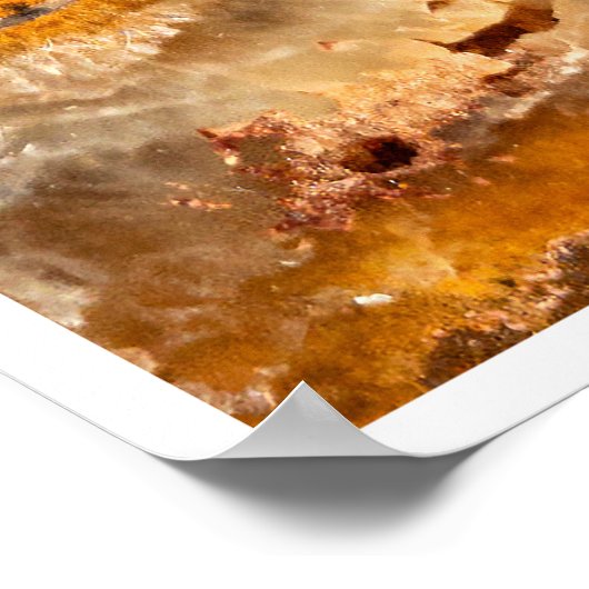 Poster Cleoniceras (Coin)