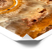 Poster Cleoniceras Ammonite Fossil Wall Art Nature Print (Coin)