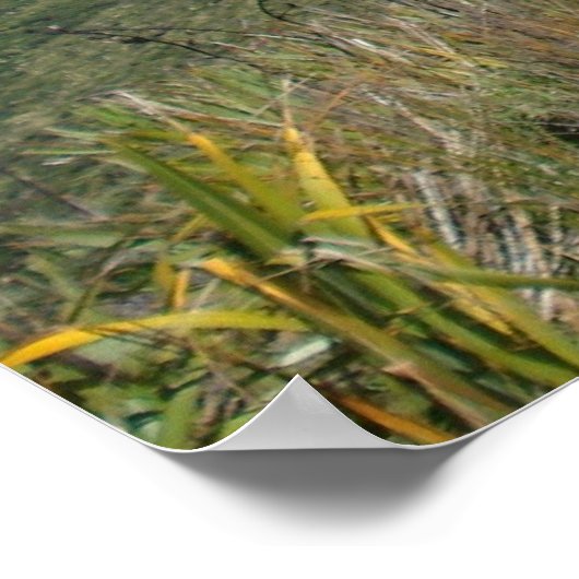 Poster Cliff à Cape Reinga, Nouvelle-Zélande, Photo LMP (Coin)