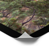 Poster Cliff Palace (Coin)