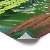 POSTER CLIMAT (Coin)