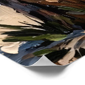 Poster Climat côtier : Raccoon au bord de la mer (Coin)