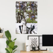 Poster "Climber Jim" (Bureau à domicile)