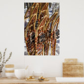 Poster Clinique de raquettes (Cuisine)