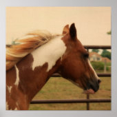 Poster clinquant (Devant)