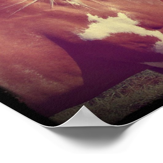 Poster clinquant (Coin)