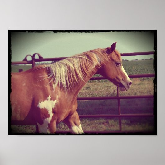 Poster clinquant (Devant)