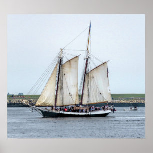 Poster Clipper Liberty