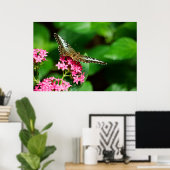 Poster Clipper sur Pentas 2 Imprimer (Bureau à domicile)