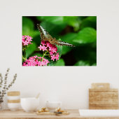 Poster Clipper sur Pentas 2 Imprimer (Cuisine)