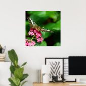 Poster Clipper sur Pentas 2 Print (Bureau à domicile)