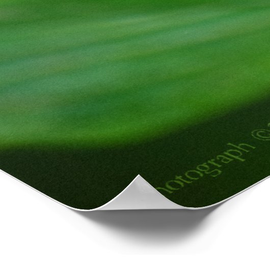 Poster Clipper sur Pentas 3 Imprimer (Coin)