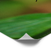 Poster Clipper sur Pentas 3 Print (Coin)