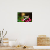 Poster Clipper sur Pentas 3 Print (Cuisine)
