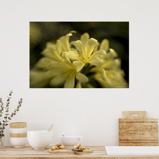 Poster Clivia jaune (Cuisine)