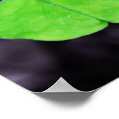 Poster Clochers chanceux (Coin)