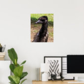 Poster Close-up of an Emu (Bureau à domicile)