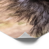 Poster Close-up of an Emu (Coin)