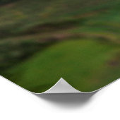 Poster Close up of Prayer Flags (Coin)