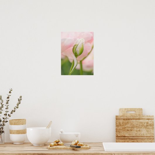 Poster Close-up of tulip and bud (Cuisine)