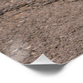 Poster Close up of wooden Alphorn (Coin)