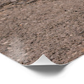 Poster Close up of wooden Alphorn (Coin)