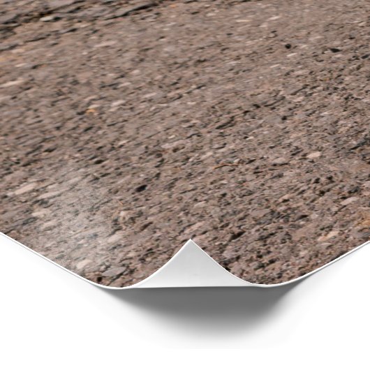 Poster Close up of wooden Alphorn (Coin)