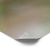 Poster Closeup ball pythonPostcard Postcard Square Sticke (Coin)