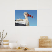 Poster Closeup cigogne blanche (Cuisine)