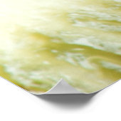 Poster Closeup du kiwi (Coin)