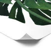 Poster Closeup feuille Monstera (Coin)