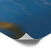 Poster Closeup On Tibet Up Bateau (Coin)