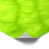 Poster Closeup photo de la feuille verte (Coin)