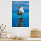 Poster Closeuse de goéland (Cuisine)