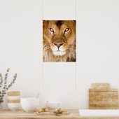 Poster Closeuse de la face du lion (Cuisine)