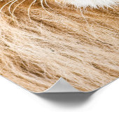 Poster Closeuse de la face du lion (Coin)