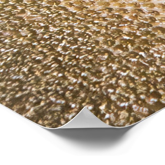 Poster Closeuse de Lizardfish (Coin)