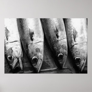 Poster Closeuse de poisson en noir et blanc