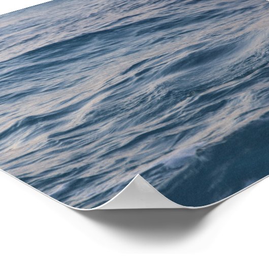 Poster Closeuse d'eau de mer (Coin)